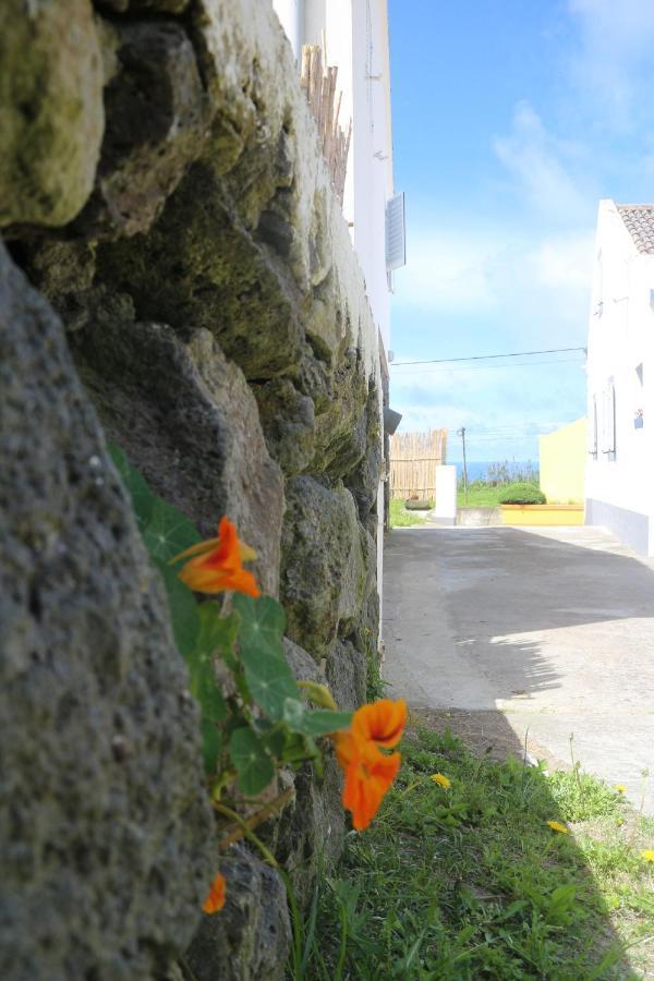 Casa Das Camarinhas Raal 542- Casa Partilhada Ginetes Luaran gambar